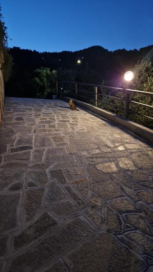 Villa Degli Ulivi Tivegna Εξωτερικό φωτογραφία