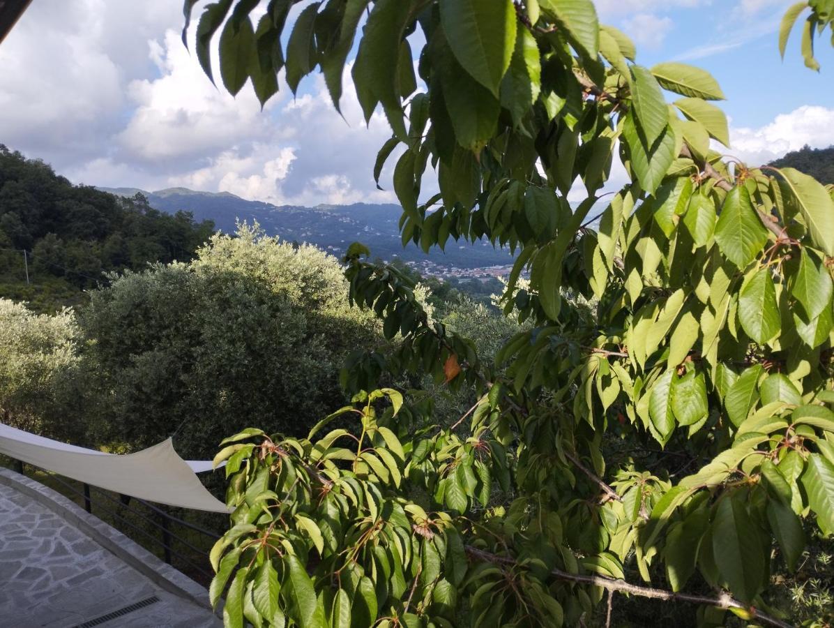 Villa Degli Ulivi Tivegna Εξωτερικό φωτογραφία