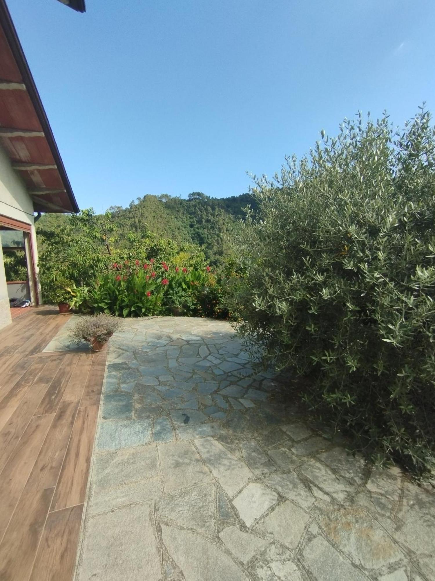 Villa Degli Ulivi Tivegna Εξωτερικό φωτογραφία