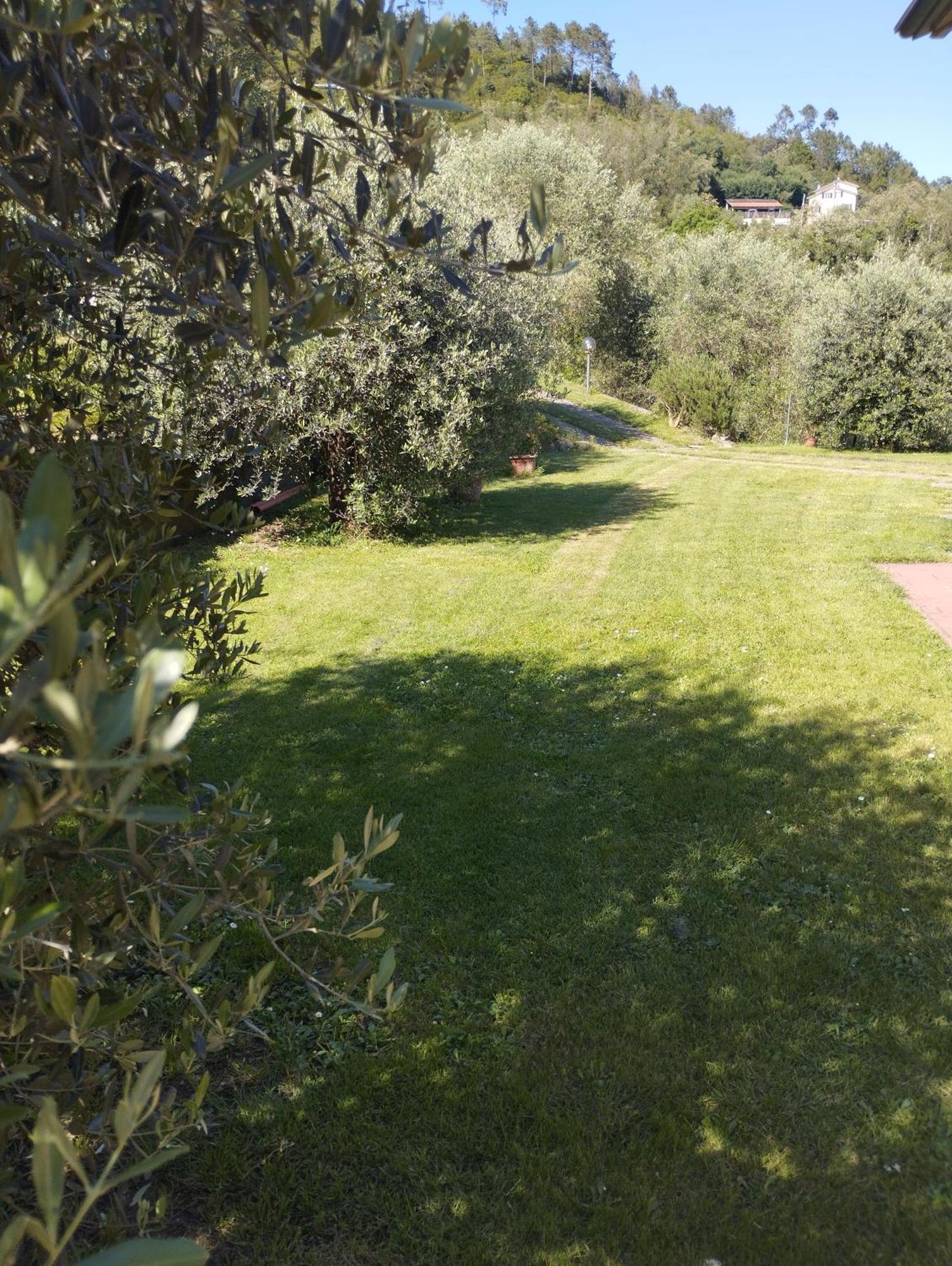Villa Degli Ulivi Tivegna Εξωτερικό φωτογραφία