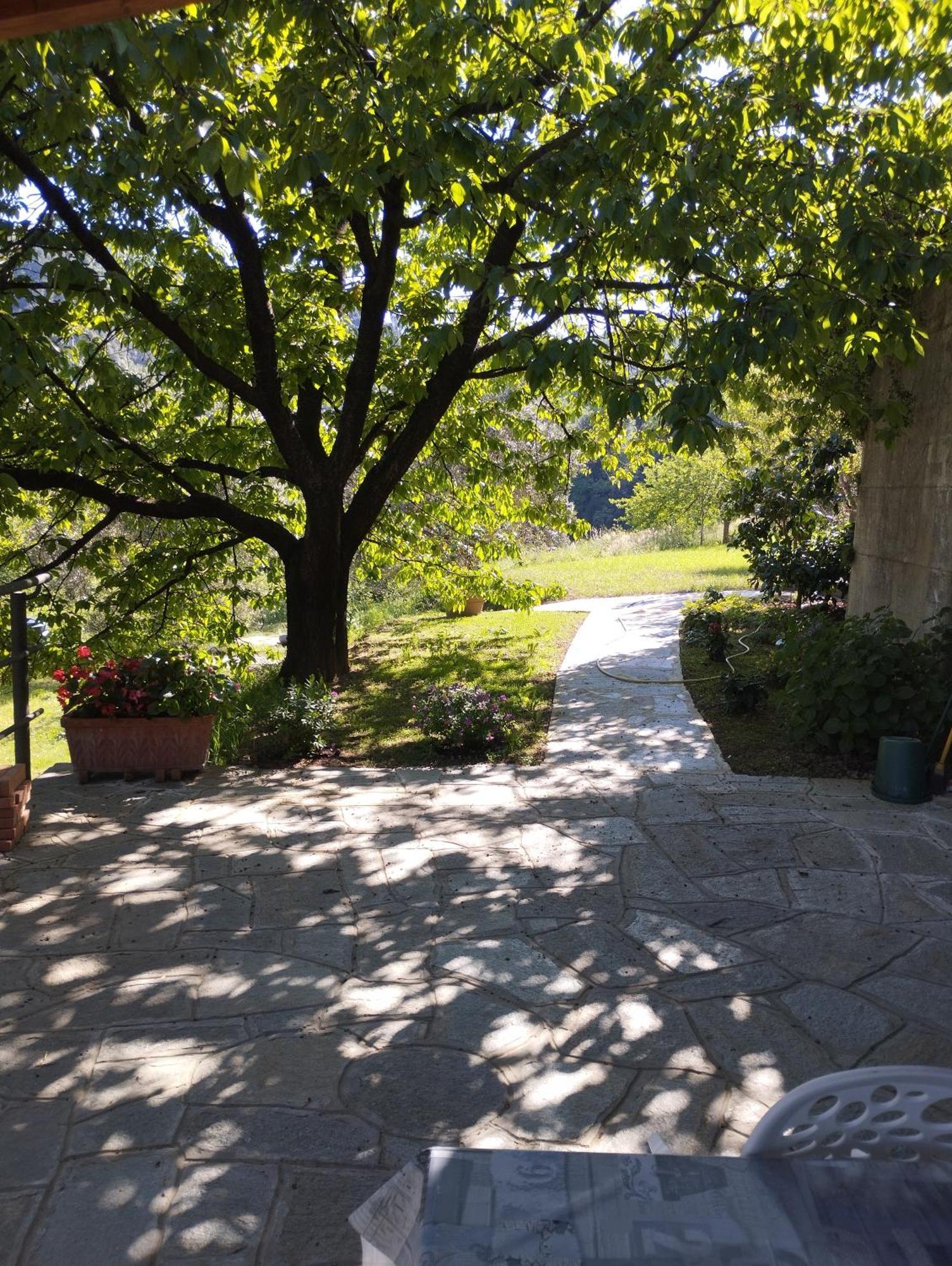 Villa Degli Ulivi Tivegna Εξωτερικό φωτογραφία