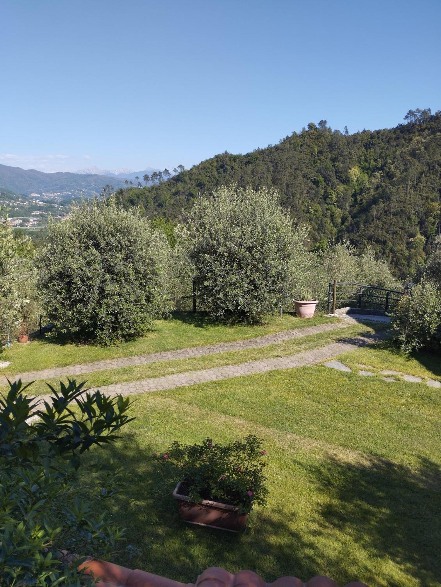 Villa Degli Ulivi Tivegna Εξωτερικό φωτογραφία