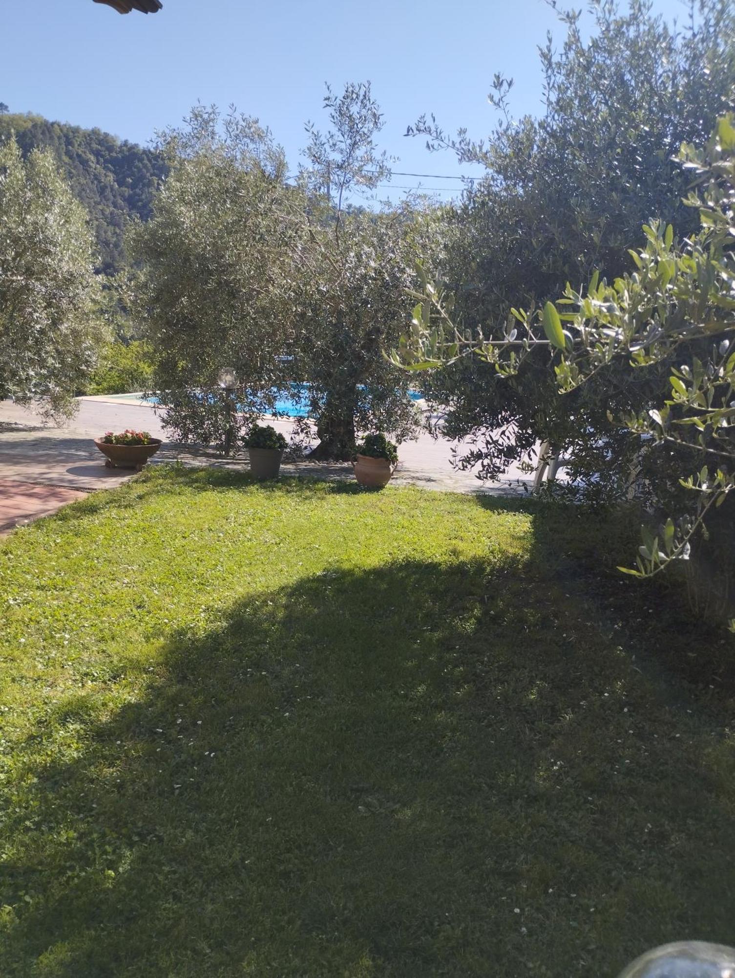Villa Degli Ulivi Tivegna Εξωτερικό φωτογραφία